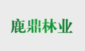 广西尊龙人生就是博Z6林业集团提议人初次筹备会议在我场召开