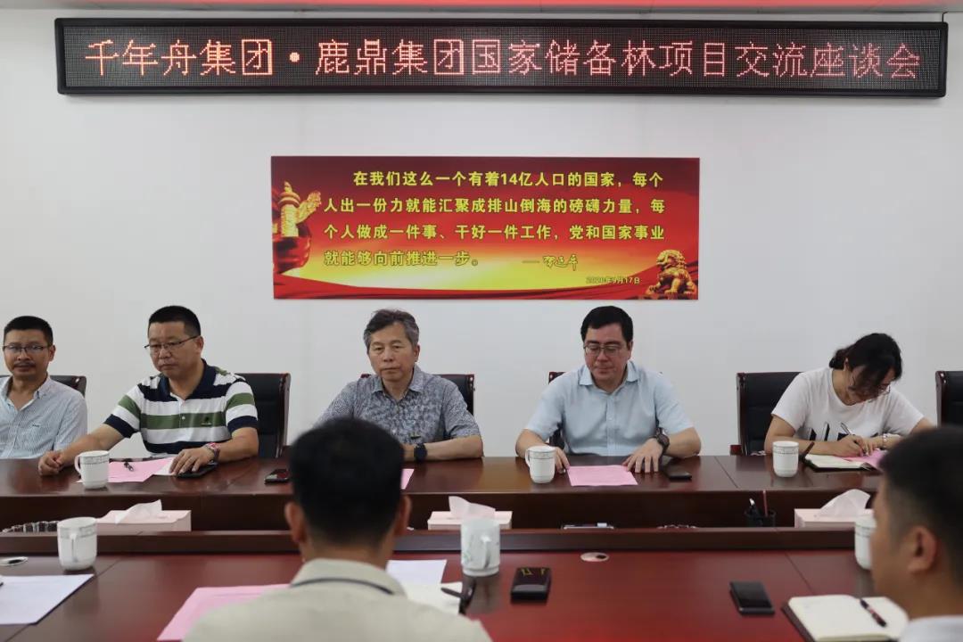 千年舟集团到尊龙人生就是博Z6集团互换国储林建设项目