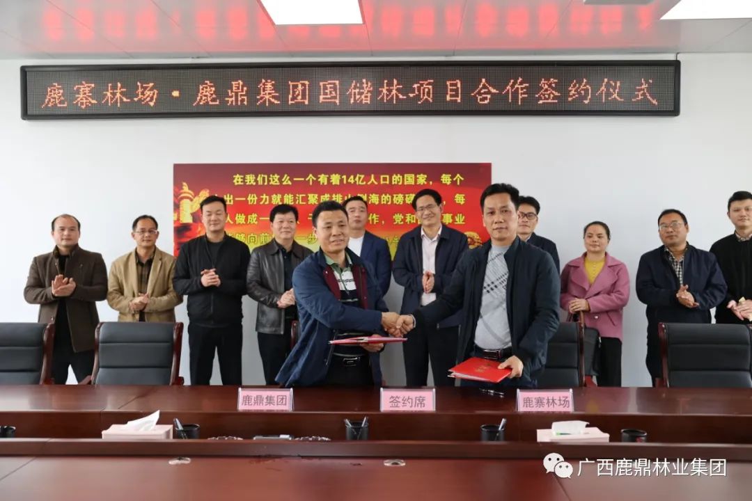 尊龙人生就是博Z6集团与鹿寨县林场进行国储林项目合作签约典礼2.jpg