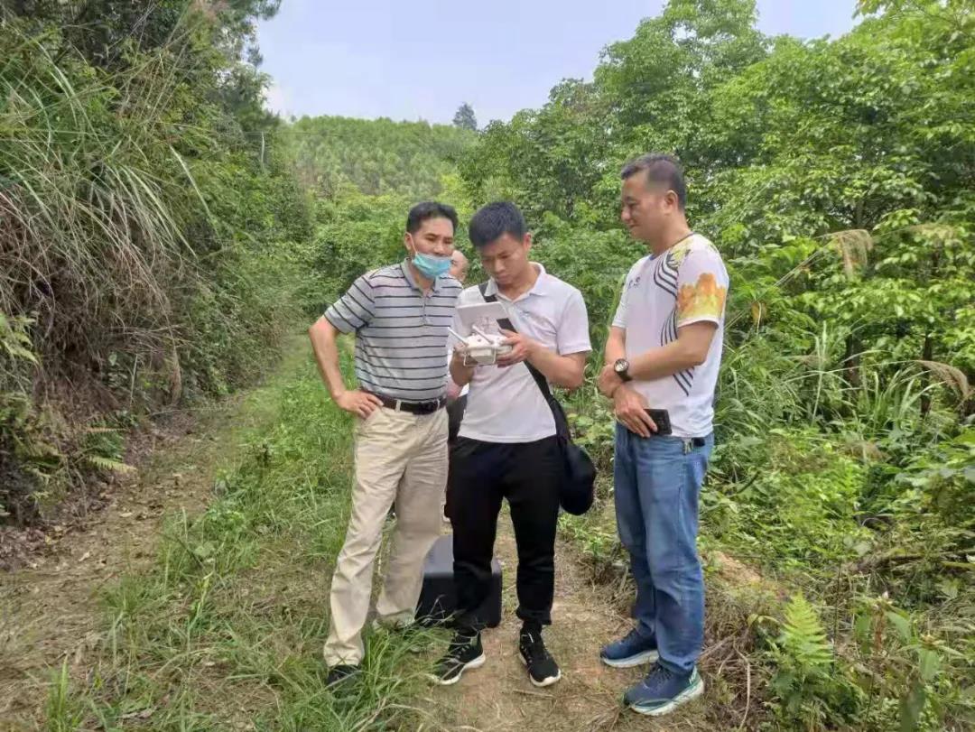 北京林业大学专家团队到鹿寨县领导国储林建设现场推动会工作2.jpg