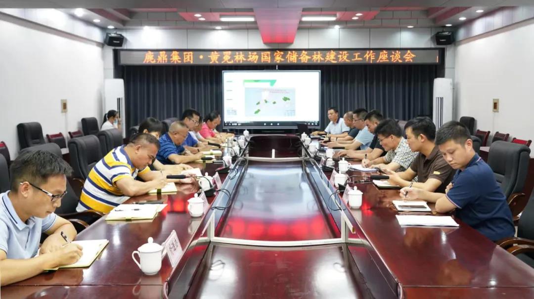 尊龙人生就是博Z6林业集团与黄冕林场座谈互换国储林建设工作1.jpg