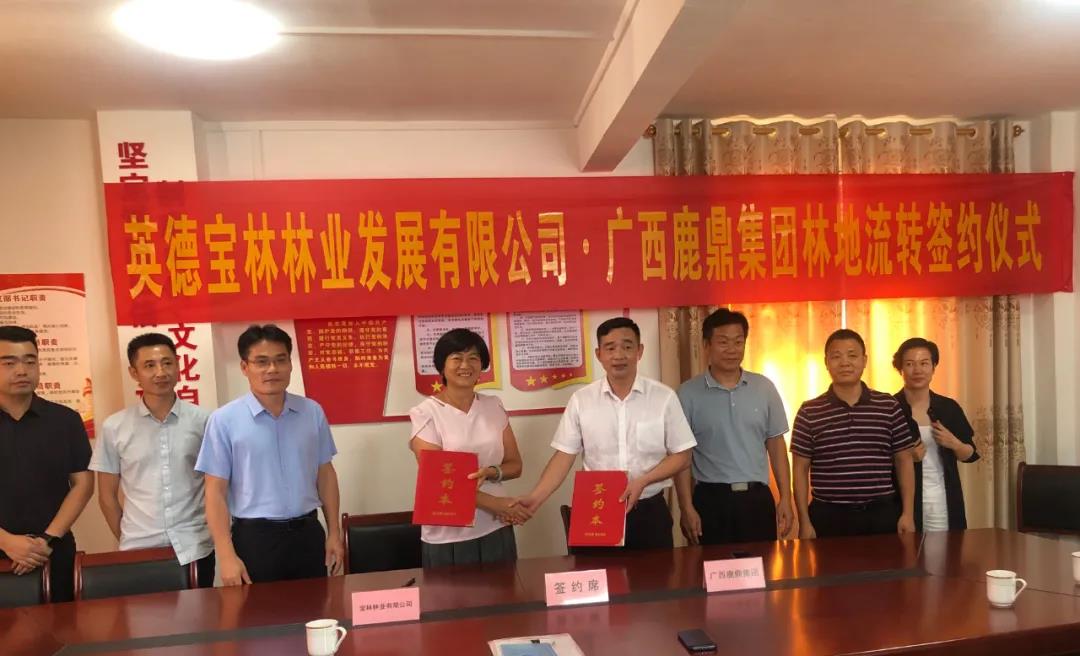 尊龙人生就是博Z6集团与宝林公司签定9100亩林地林木流转和谈1.jpg