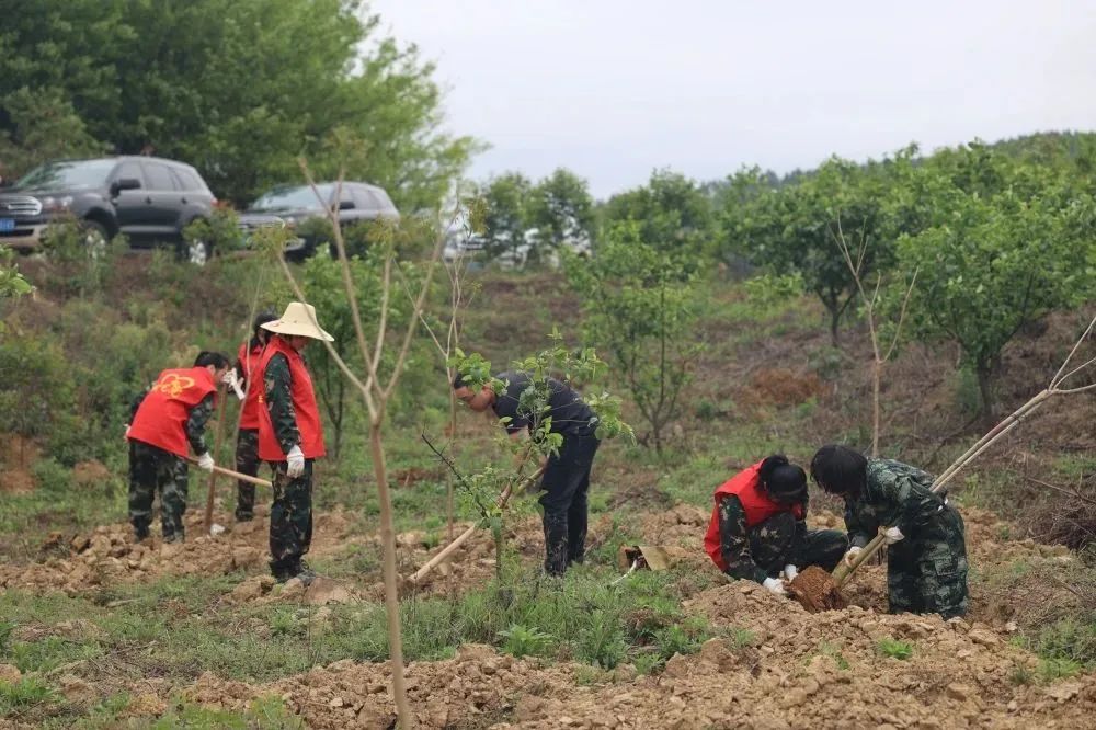 尊龙人生就是博Z6「中国区」首页官网