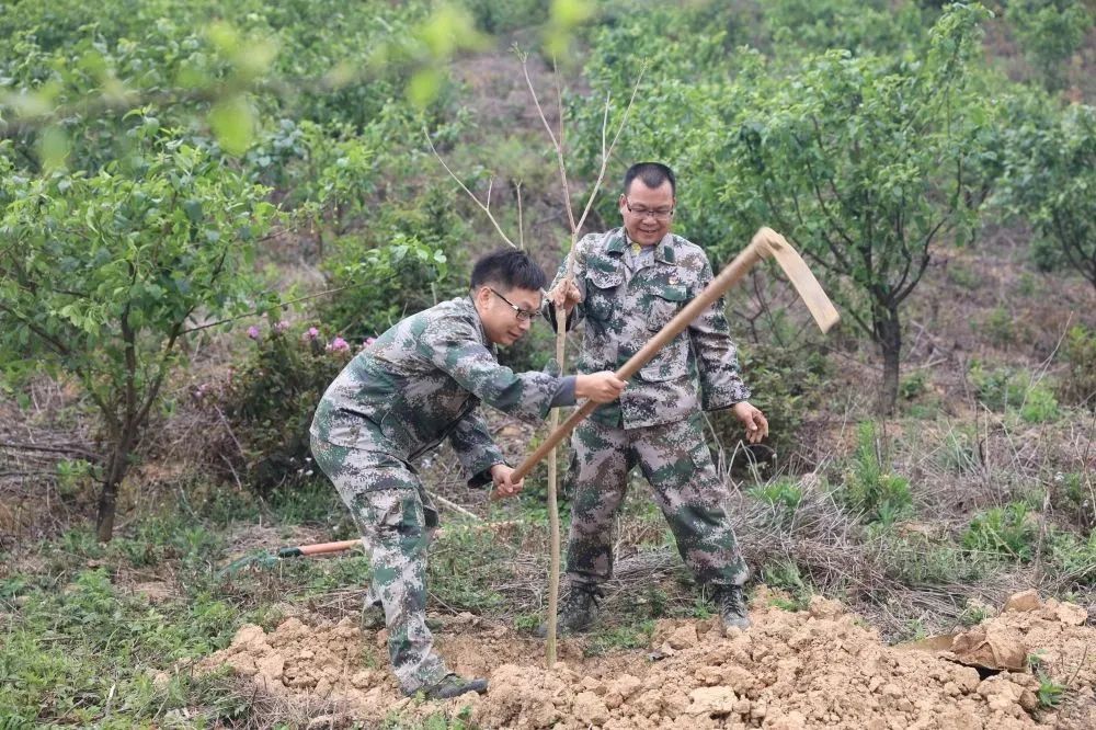 尊龙人生就是博Z6「中国区」首页官网