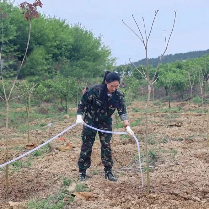 尊龙人生就是博Z6「中国区」首页官网